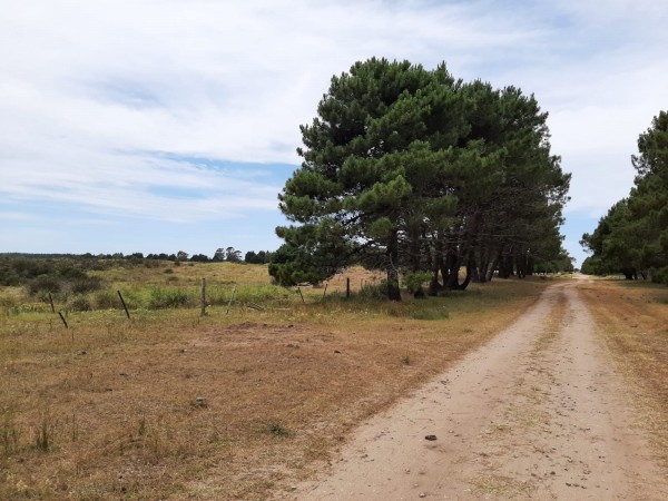 CHACRAS DE 4,5 HECTAREAS CON ACCESO A LA PLAYA ZONA MAR AZUL