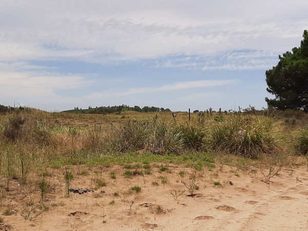 CHACRAS DE 4,5 HECTAREAS CON ACCESO A LA PLAYA ZONA MAR AZUL