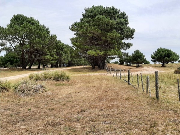 CHACRAS DE 4,5 HECTAREAS CON ACCESO A LA PLAYA ZONA MAR AZUL