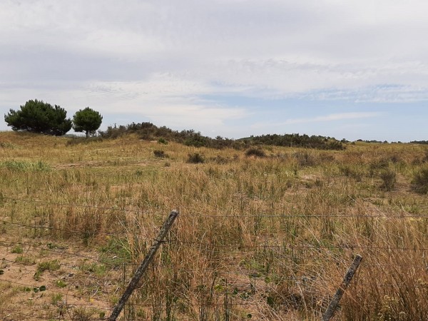 CHACRAS DE 4,5 HECTAREAS CON ACCESO A LA PLAYA ZONA MAR AZUL