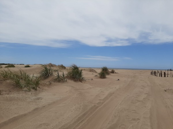 CHACRAS DE 4,5 HECTAREAS CON ACCESO A LA PLAYA ZONA MAR AZUL