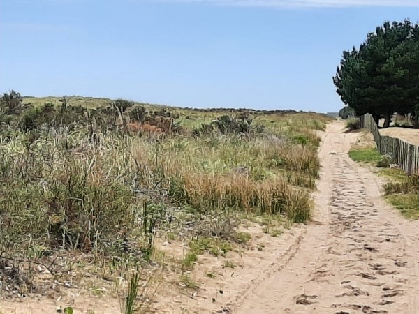 TERRENOS DE 4,5 HECTAREAS CERCA DEL MAR ZONA MAR AZUL