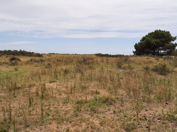TERRENOS DE 4,5 HECTAREAS CERCA DEL MAR ZONA MAR AZUL