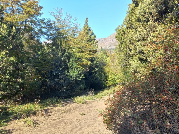 LOTES EN EL BARRIO RESIDENCIAL LA LONJA SAN MARTIN DE LOS ANDES