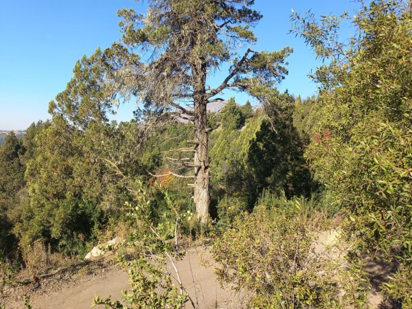 LOTES EN EL BARRIO RESIDENCIAL LA LONJA SAN MARTIN DE LOS ANDES