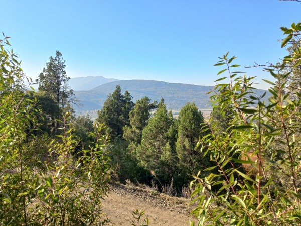 LOTES EN EL BARRIO RESIDENCIAL LA LONJA SAN MARTIN DE LOS ANDES