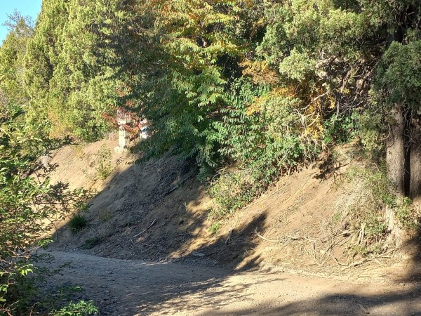 LOTES EN EL BARRIO RESIDENCIAL LA LONJA SAN MARTIN DE LOS ANDES