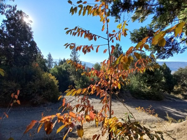 LOTES EN EL BARRIO RESIDENCIAL LA LONJA SAN MARTIN DE LOS ANDES