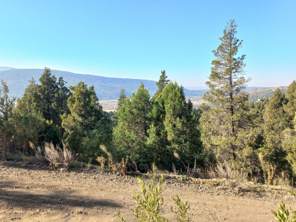 LOTES EN EL BARRIO RESIDENCIAL LA LONJA SAN MARTIN DE LOS ANDES