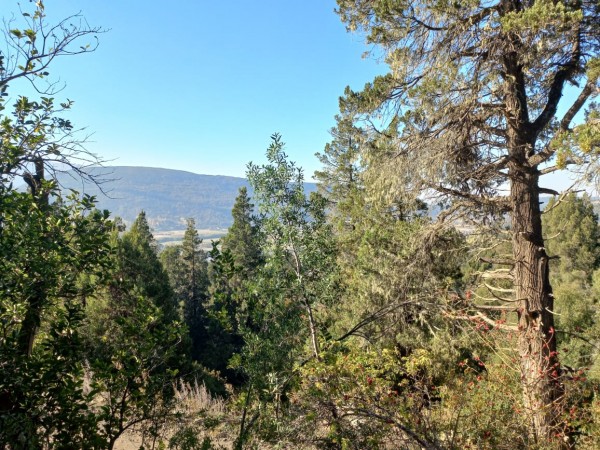 LOTES EN EL BARRIO RESIDENCIAL LA LONJA SAN MARTIN DE LOS ANDES