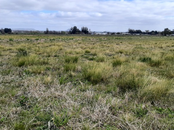 LOTES EN EL NUEVO BARRIO ALTOS DEL CRUCE BALCARCE