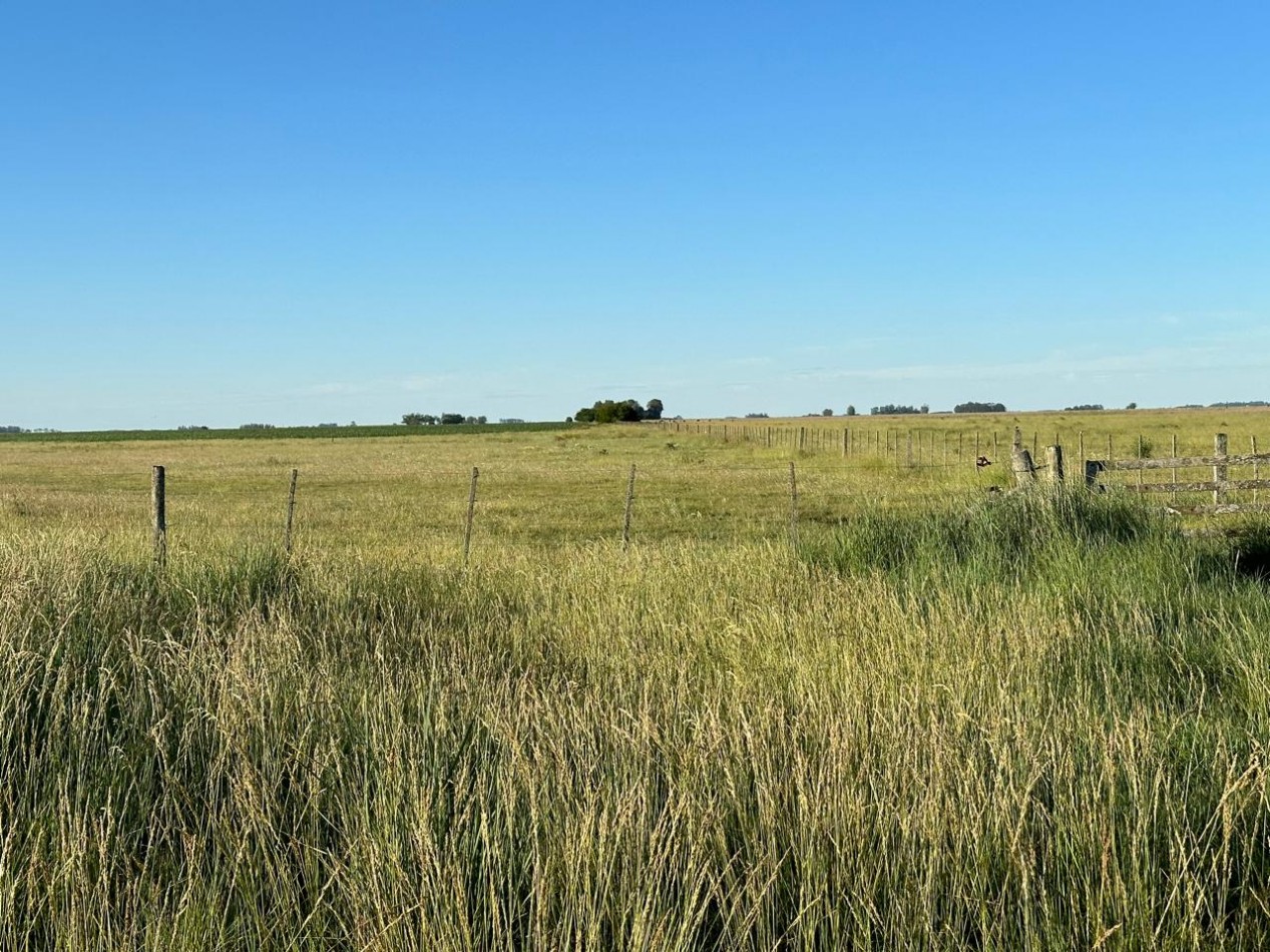 VENTA CAMPO MIXTO MACEDO