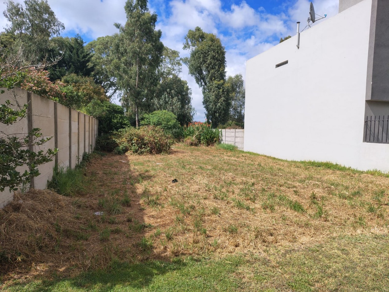 Lote barrio las Margaritas 